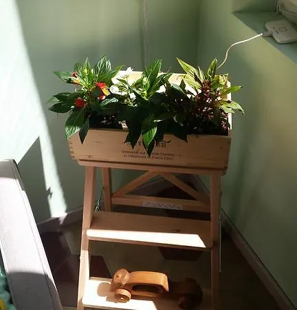 아파트 Oltretorrente 15