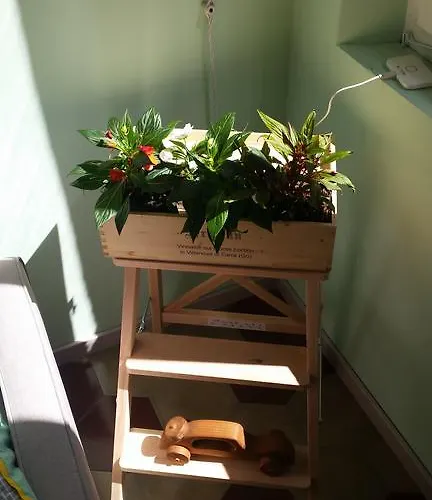 Apartamento Oltretorrente 15